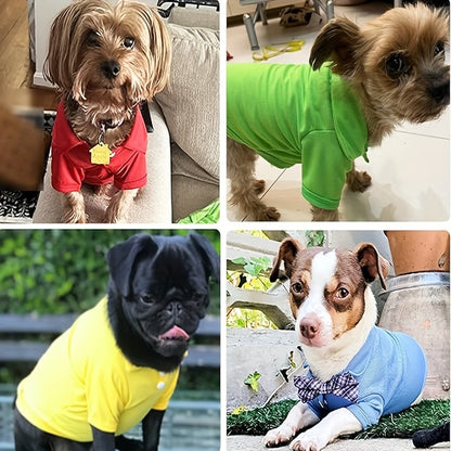 Dog Polo Shirt 6-Pack Collared T-Shirt Breathable Pullover – 100% Polyester All-Season Pet Outfit for Small Medium Dogs & Cats
