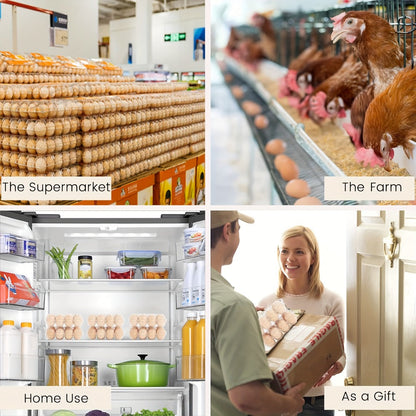 52/104-Pack Clear Plastic Egg Cartons Bulk with Sticker Labels – Reusable 12-Count Egg Containers for Home Farm Market Display