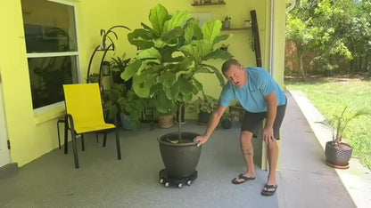 Plant Caddy with Wheels | 330 Lbs Heavy Duty, 8 Lockable Casters, Fits 8"-22" Pots