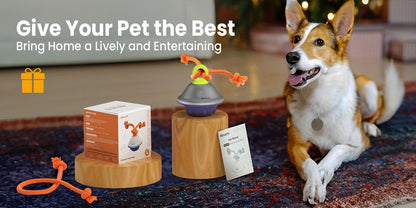 Automatic Rolling Dog Ball Toy with Rope – Motion-Activated Wicked Ball with Voice Recording, Interactive Self-Moving Stimulation Toy