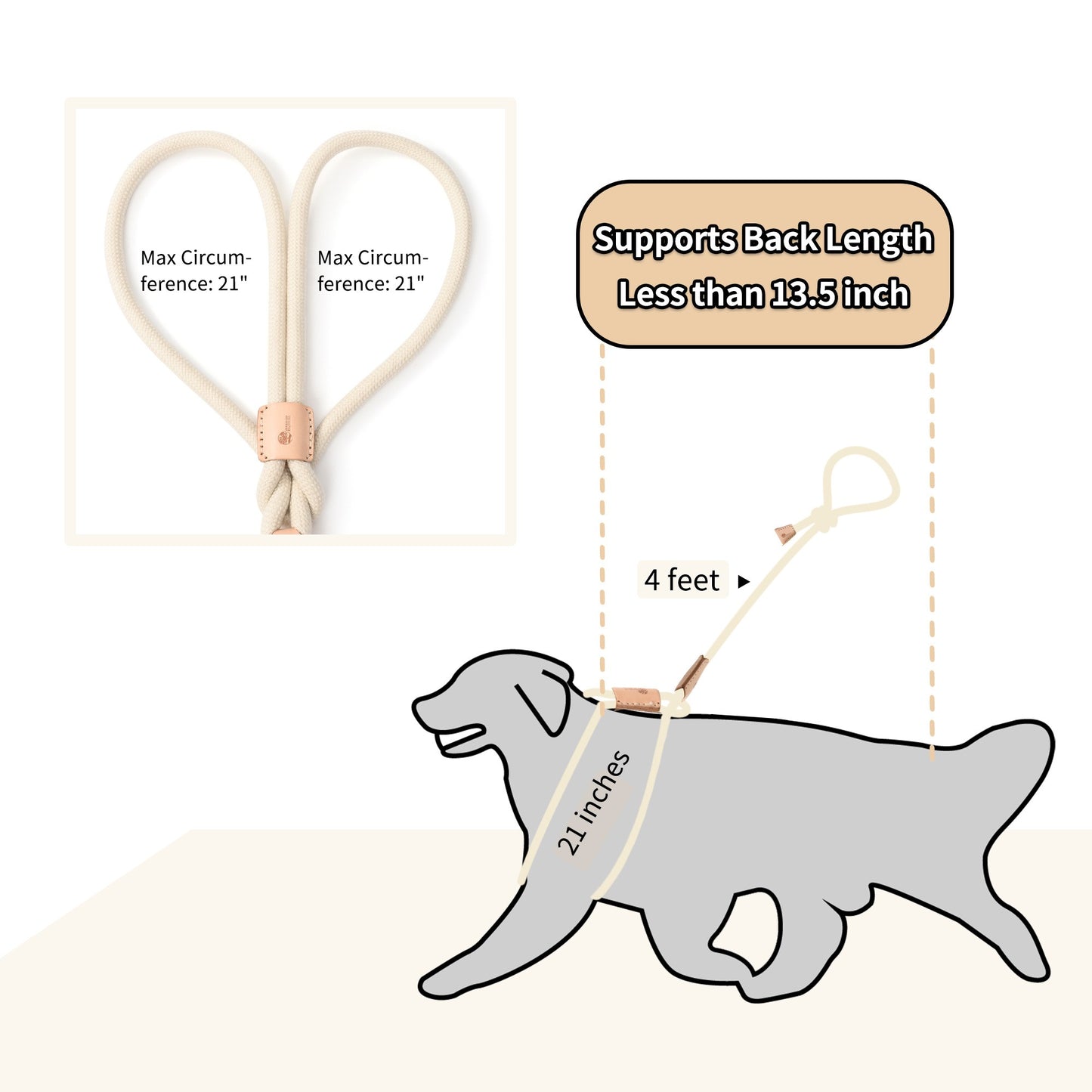 Dog Slip Leash and Harness 2-in-1 Rope Lead – No Pull All-in-One Training Leash for Puppies & Small Dogs, Adjustable Slip Lead with Soft