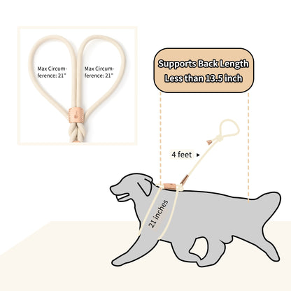 Dog Slip Leash and Harness 2-in-1 Rope Lead – No Pull All-in-One Training Leash for Puppies & Small Dogs, Adjustable Slip Lead with Soft