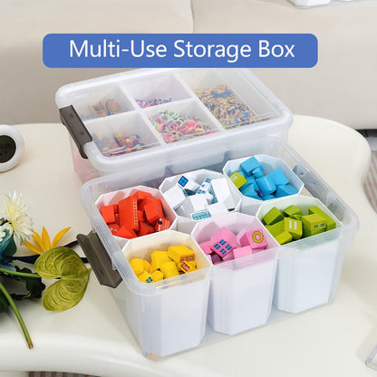 Two Clear Storage Boxes with Removable Divided Trays, Snap Lids, Black Carry Handles and Lower Compartments