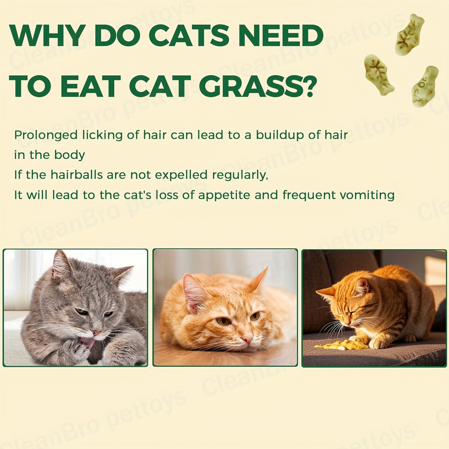 Catnip Cat Treats 150g – Catnip Cookie & Catgrass Molar Stick, Dried Fish Snack for Cats, Teeth Cleaning Dental Chew