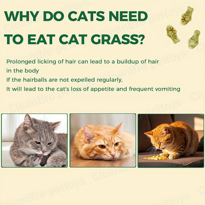 Catnip Cat Treats 150g – Catnip Cookie & Catgrass Molar Stick, Dried Fish Snack for Cats, Teeth Cleaning Dental Chew