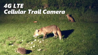 4G Cellular Game Camera Solar Powered – 2K Live View, 0.02s Motion Trigger, Night Vision, No WiFi Needed for Hunting & Wildlife