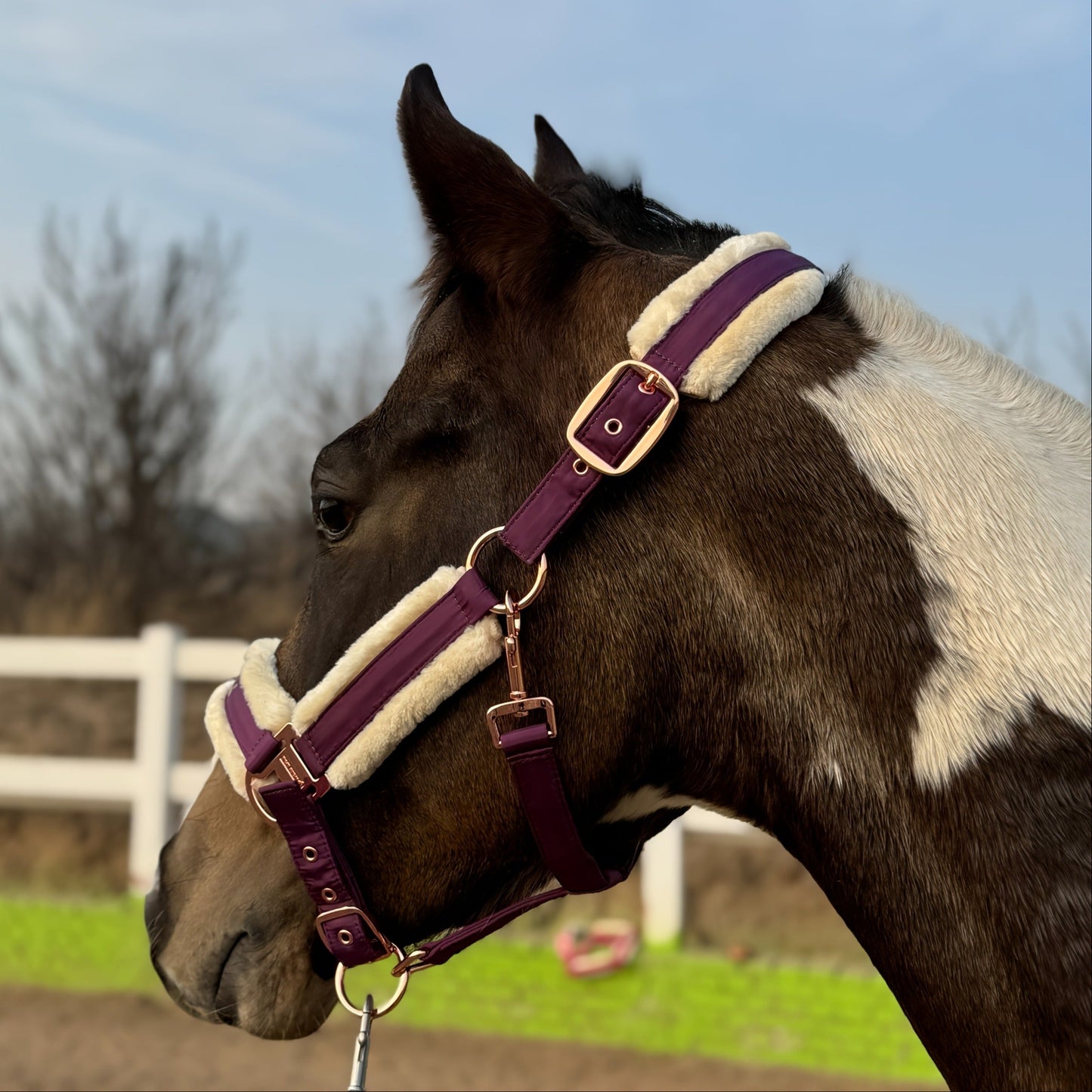 Horse Halter with Detachable Faux Fur Band & Glossy Buckle – Adjustable Head Collar for Horses, Available in 15 Colors & 3 Sizes FULL COB