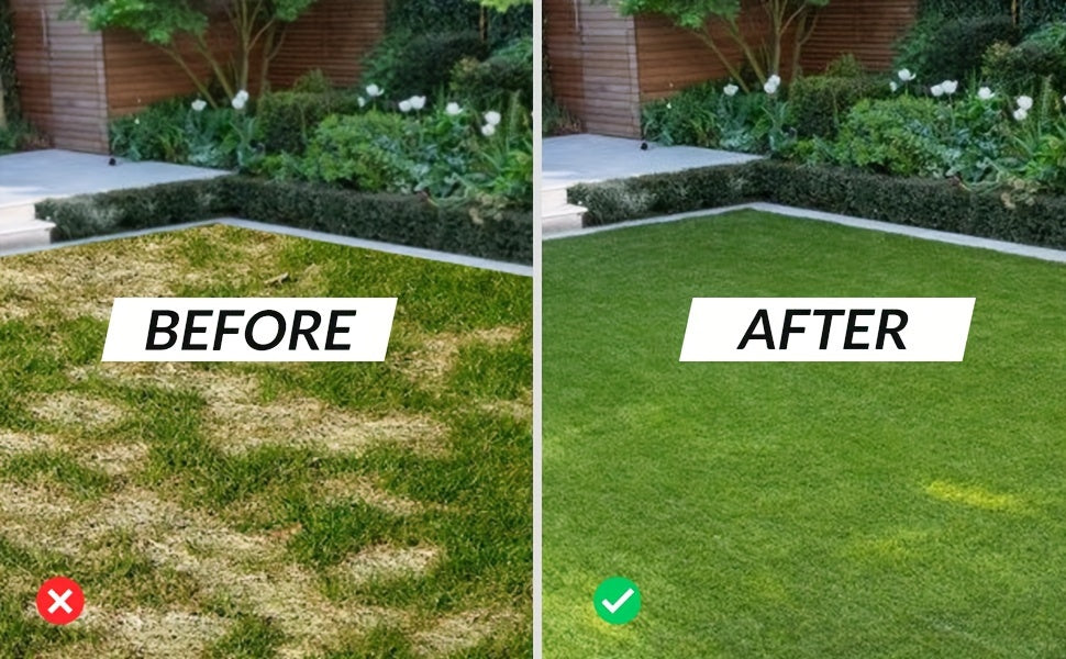 Lawn Aerator, Manual Core Aerating Tool Dethatching Compacted Soil for Garden, Patio and Yard Use