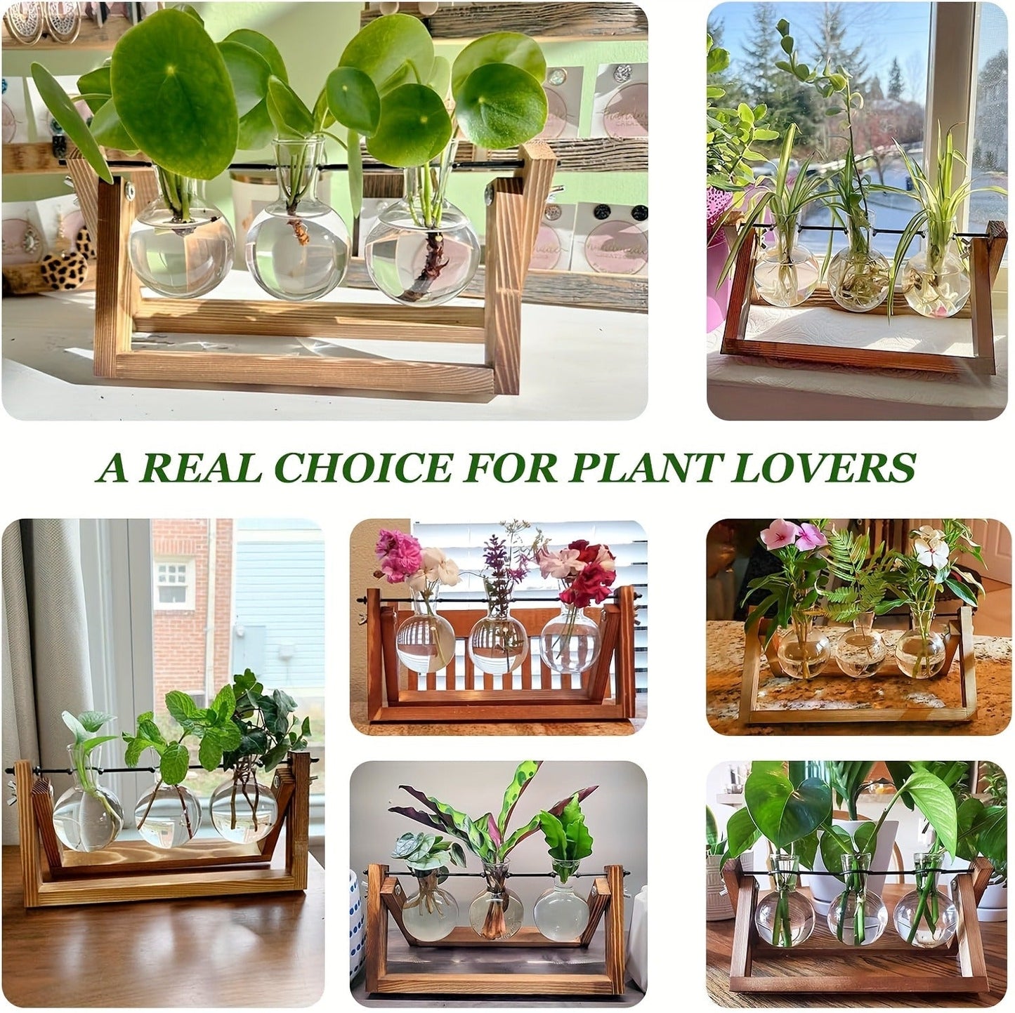 Propagation Station 3 Bulb Glass Vase with Wooden Stand – Hydroponic Plant Terrarium for Home Office Desk Decor