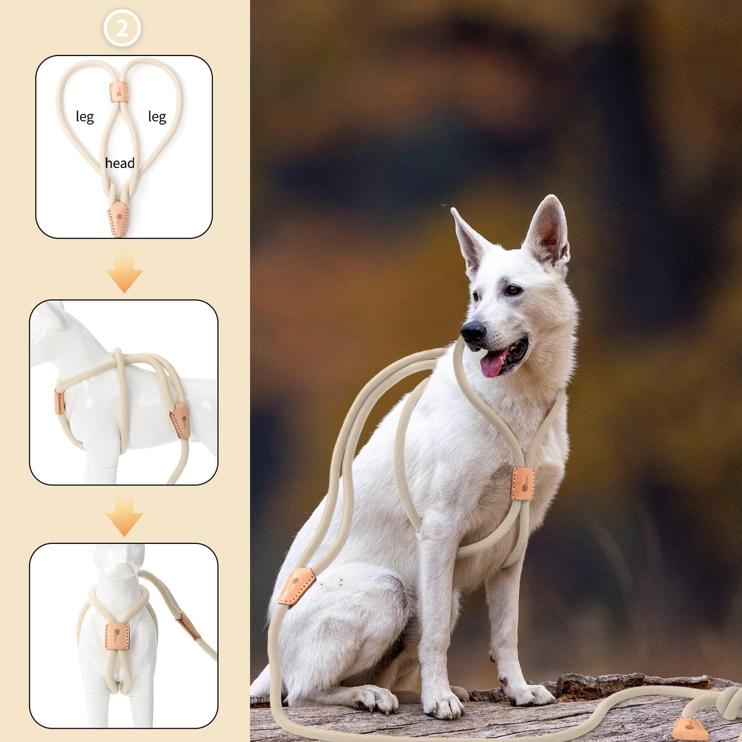 Dog Slip Leash and Harness 2-in-1 Rope Lead – No Pull All-in-One Training Leash for Puppies & Small Dogs, Adjustable Slip Lead with Soft