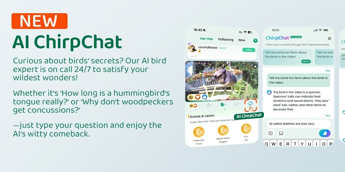 Smart Bird Feeder with Camera AI Bird Identification, 2K HD Live View, Auto Capture & Color Night Vision