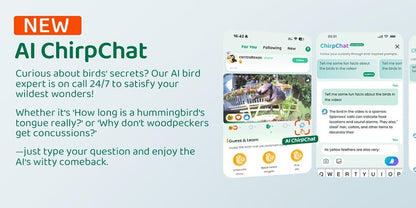 Smart Bird Feeder with Camera AI Bird Identification, 2K HD Live View, Auto Capture & Color Night Vision