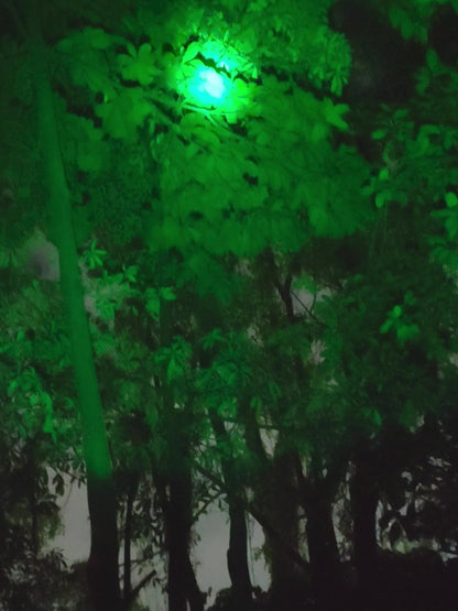 Flashlight Red, Green or White Hunting Light with Remote Switch, 18650 Battery and Mount Options