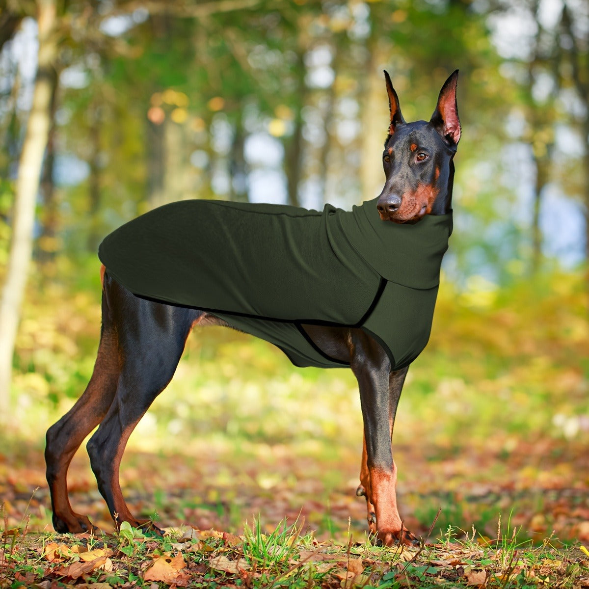 High-Neck Pullover Dog Coat in Burgundy, Navy or Fern Green with Selected XL Through 4XL Sizes