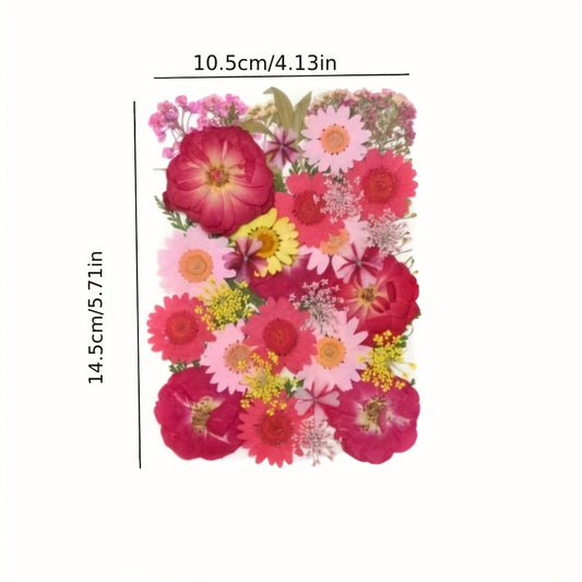 Dried Pressed Flowers Kit 500pcs – Natural Real Flower Petals & Leaves for Resin Art, Nail Art, Jewelry Making, Scrapbooking