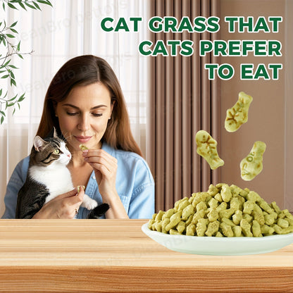 Catnip Cat Treats 150g – Catnip Cookie & Catgrass Molar Stick, Dried Fish Snack for Cats, Teeth Cleaning Dental Chew