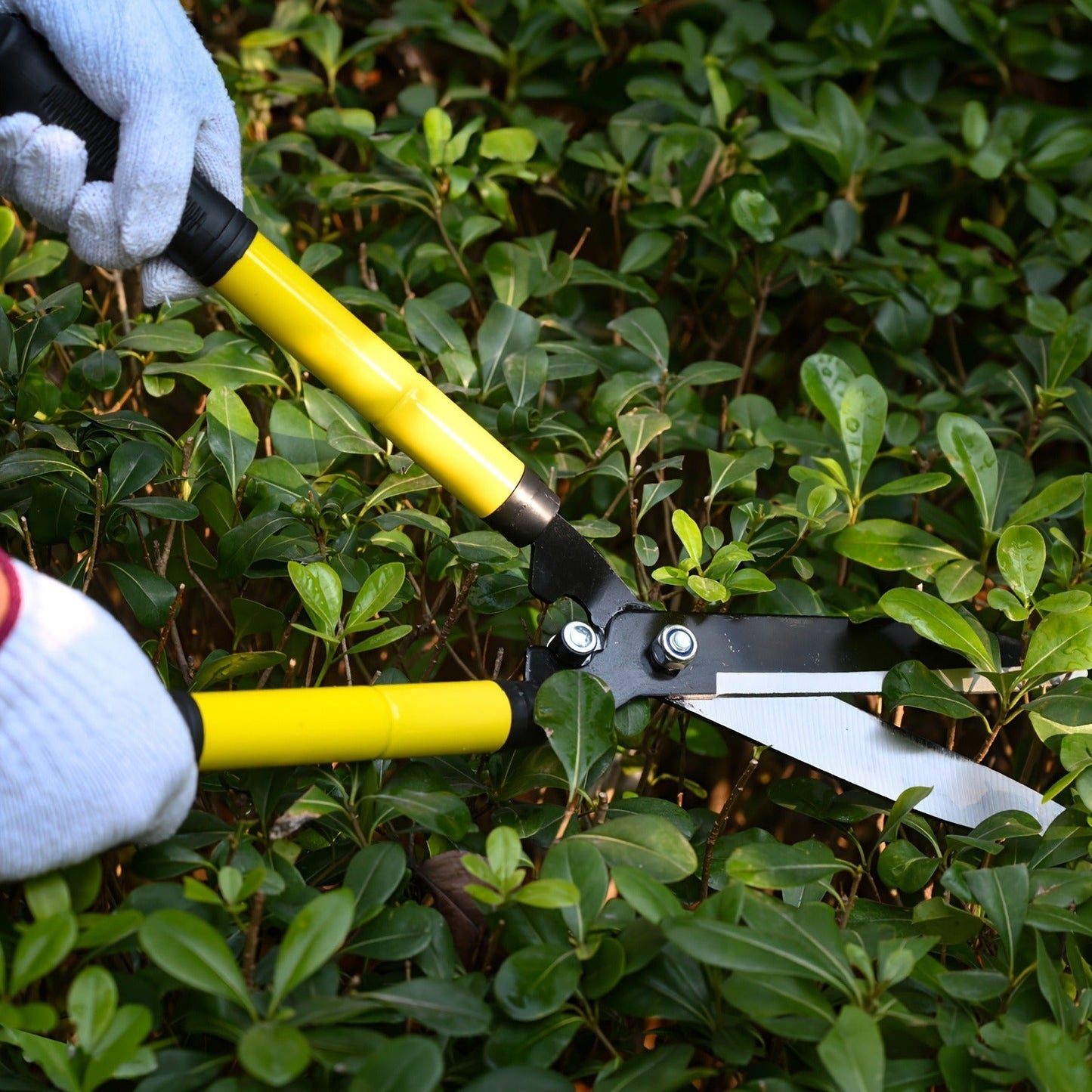 Long Reach Pruning Shears 18-38 Inch Extendable – Non-Stick Steel Blades Cut 2" Branches, Shock-Absorbing Handle