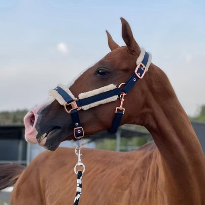 Horse Halter with Detachable Faux Fur Band & Glossy Buckle – Adjustable Head Collar for Horses, Available in 15 Colors & 3 Sizes FULL COB