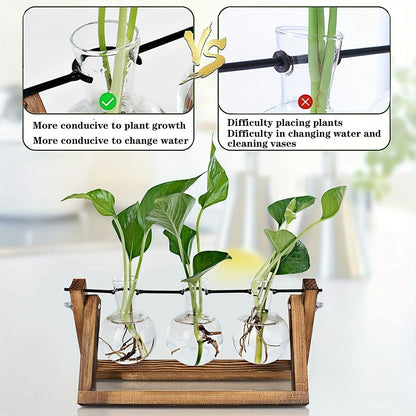 Propagation Station 3 Bulb Glass Vase with Wooden Stand – Hydroponic Plant Terrarium for Home Office Desk Decor