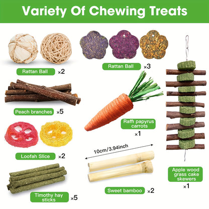 Small Animal Dental Treats 21pcs – Natural Timothy Hay Variety Set with Hay Sticks, Timothy Cakes & Carrot Strawberry Treats for Rabbits