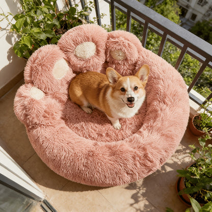 Dog Bed & Cat Bed Plush Bear Paw Print – Soft Warm Pet Bed for Small Medium Large Dogs, Thickened Long Plush, No Assembly