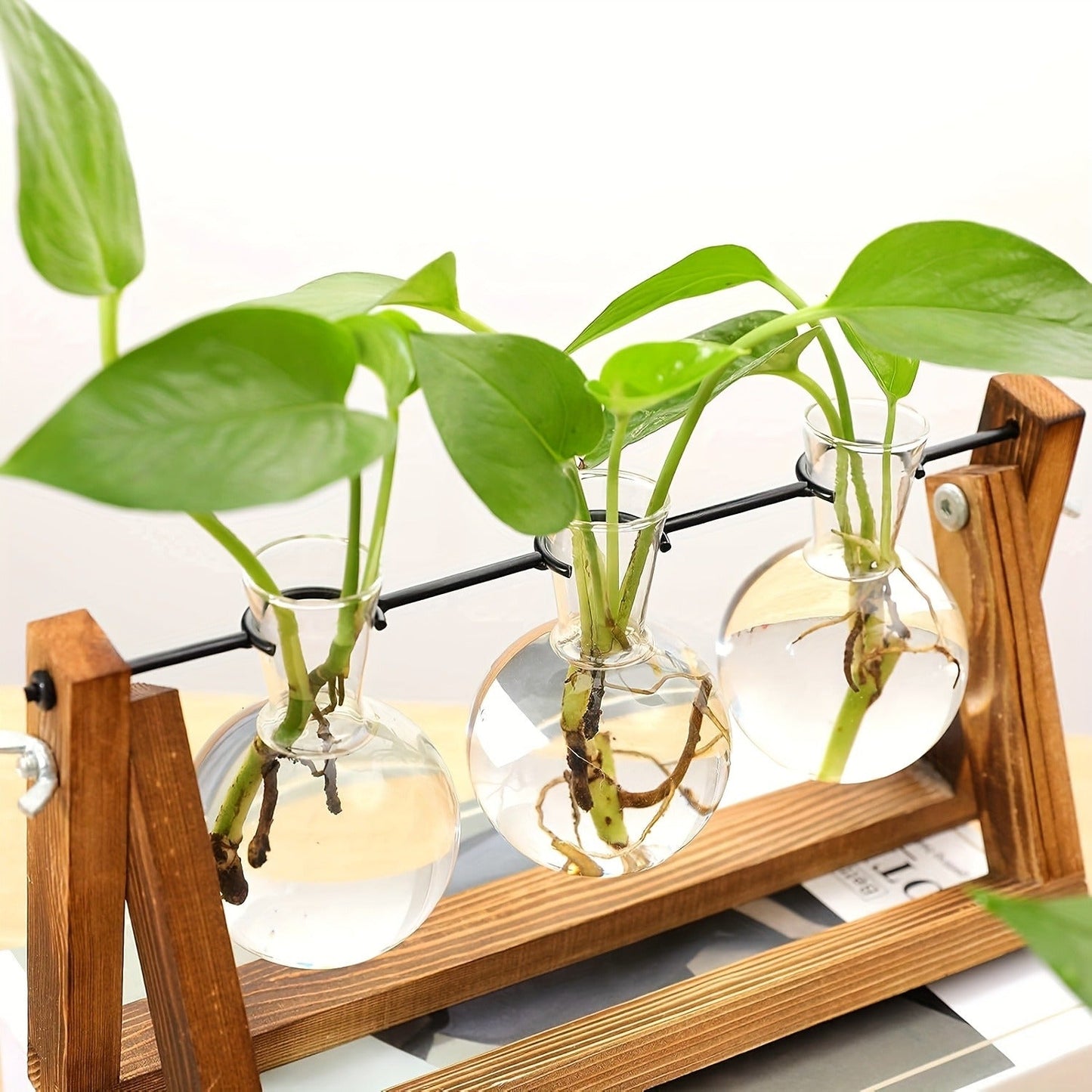 Propagation Station 3 Bulb Glass Vase with Wooden Stand – Hydroponic Plant Terrarium for Home Office Desk Decor