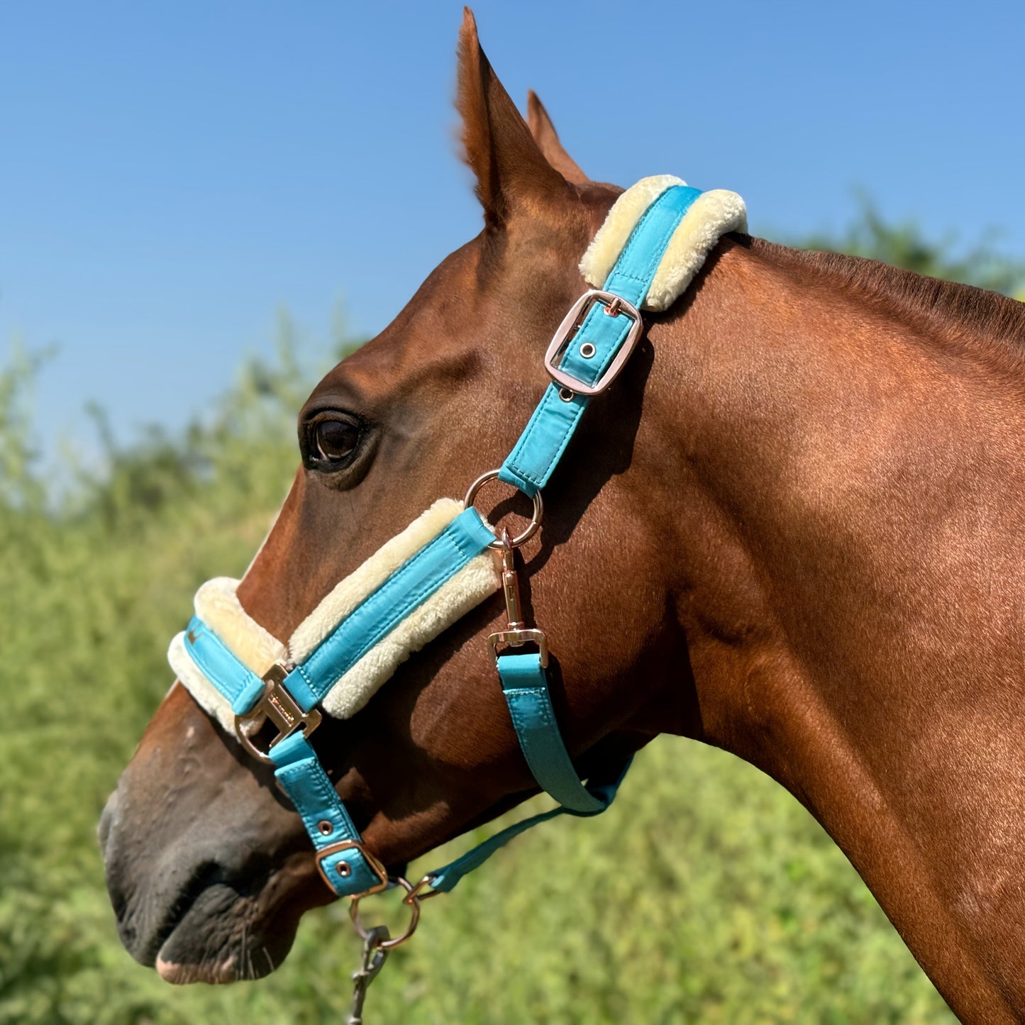 Horse Halter with Detachable Faux Fur Band & Glossy Buckle – Adjustable Head Collar for Horses, Available in 15 Colors & 3 Sizes FULL COB