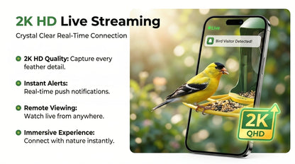 Smart Bird Feeder with Camera AI Bird Identification, 2K HD Live View, Auto Capture & Color Night Vision