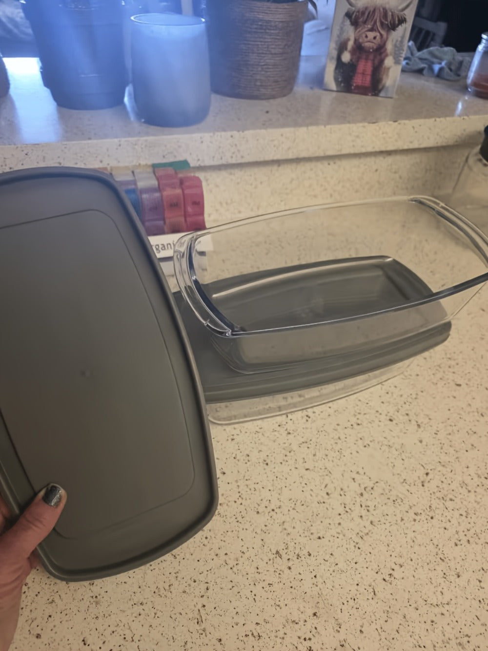 Glass Baking Dish with Lid, 1.9 Qt Rectangular Glass Loaf Pan with Handles, Oven & Airtight Food Storage Container
