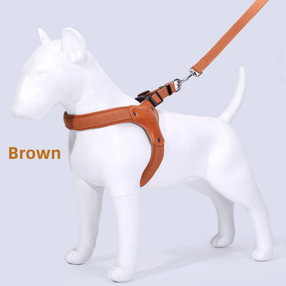 Dog Leash & Harness Set – Outdoor Safety Leash for Large Medium Small Dogs, M/L/XL, Brown Black Red