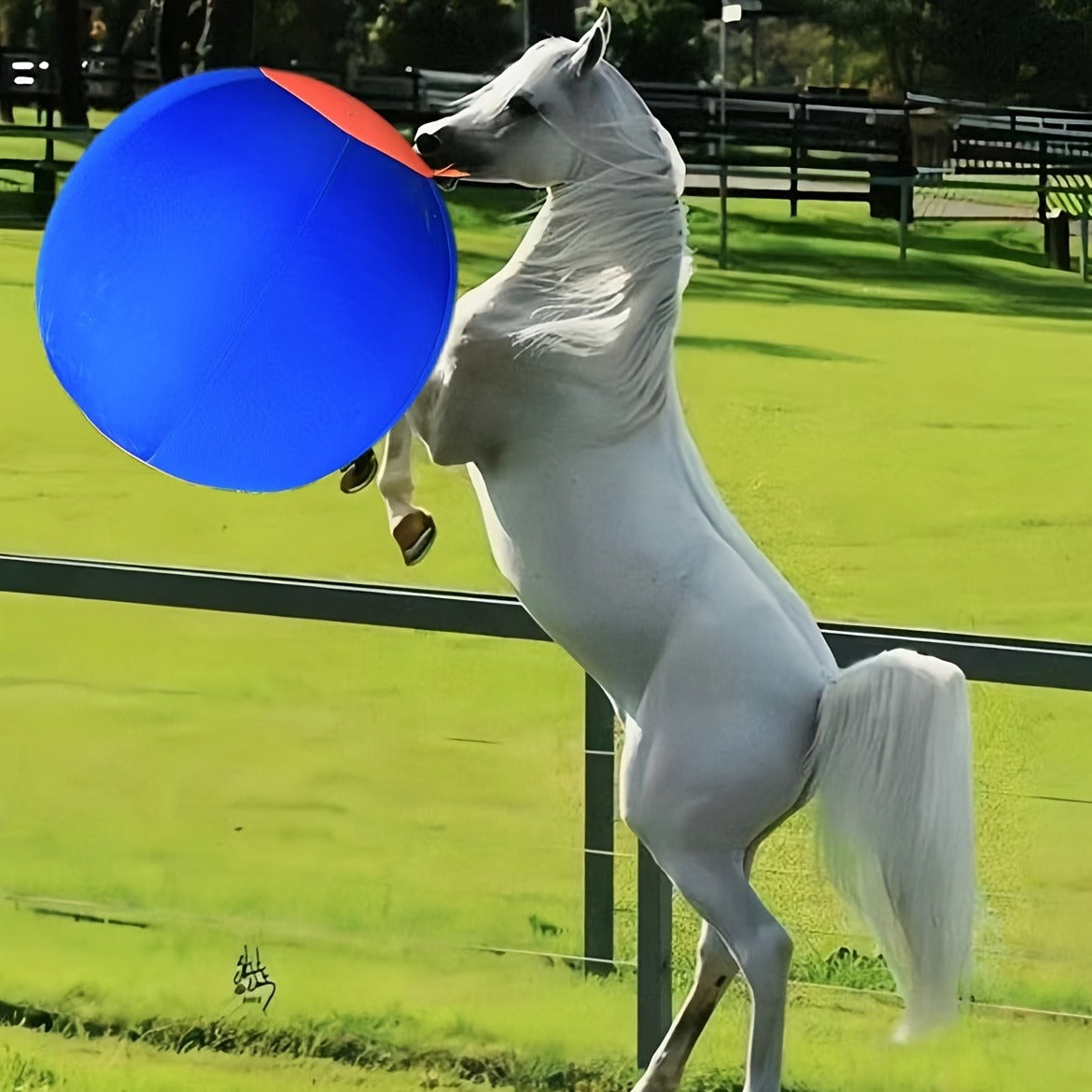 Horse Training Ball 21.7" Anti-Burst Silicone Grazing Ball with Cover & Hanging Belt for Horses Goats Dogs