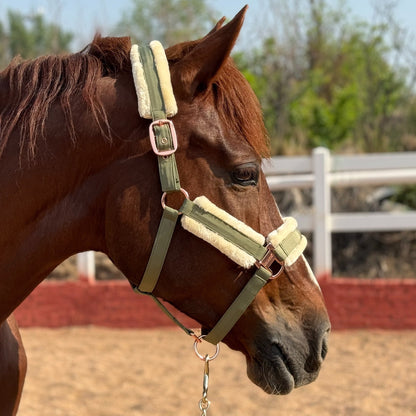 Horse Halter with Detachable Faux Fur Band & Glossy Buckle – Adjustable Head Collar for Horses, Available in 15 Colors & 3 Sizes FULL COB