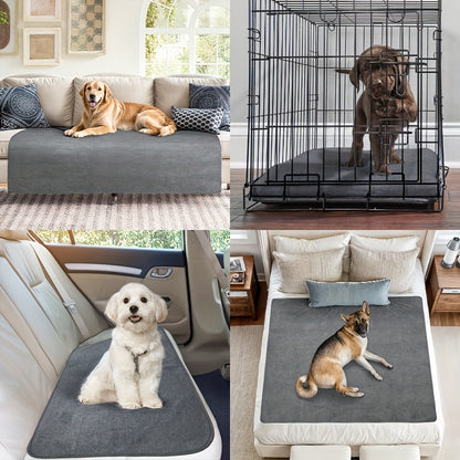 Washable Dog Pee Pads Reusable 2-Pack – Non-Slip 4-Layer Fast Absorbent Puppy Mat for Housebreaking, Whelping, Crate & Incontinence
