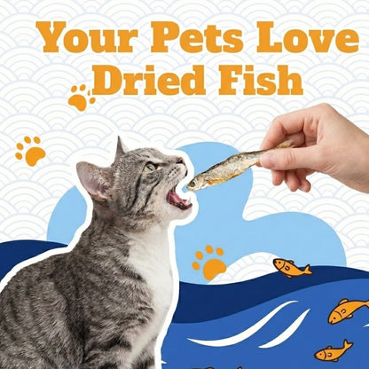 Freeze Dried Whole Minnow Cat Treats – High Protein Fish Bites for Cats, Dogs, Turtles & Reptiles | Natural Freshwater Fish Snacks
