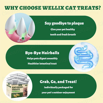 Catnip Cat Treats 150g – Catnip Cookie & Catgrass Molar Stick, Dried Fish Snack for Cats, Teeth Cleaning Dental Chew