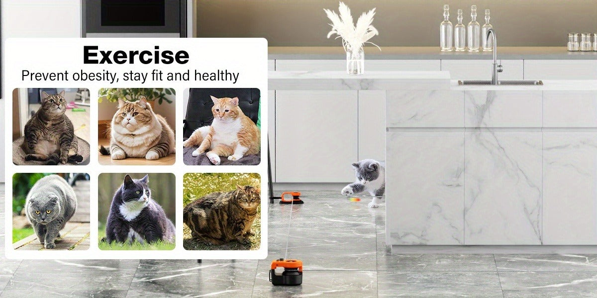 Interactive Cat Toy Auto & Remote Control – Electric Feather Mouse Lure Coursing Machine with DIY Track, Mouse Sounds, Auto Timer