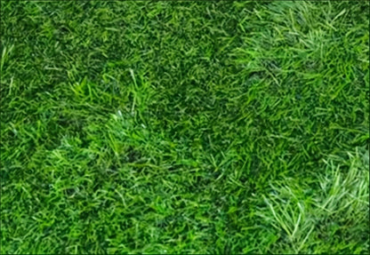 Artificial Grass Dog Potty Pad Washable Reusable – Odor-Proof Pet Training Lawn Mat for Indoor Outdoor Use