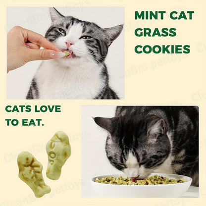 Catnip Cat Treats 150g – Catnip Cookie & Catgrass Molar Stick, Dried Fish Snack for Cats, Teeth Cleaning Dental Chew