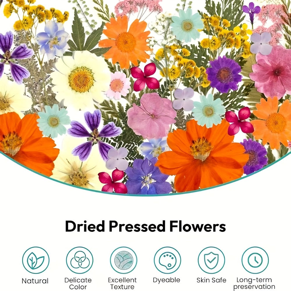 Dried Pressed Flowers Kit 500pcs – Natural Real Flower Petals & Leaves for Resin Art, Nail Art, Jewelry Making, Scrapbooking