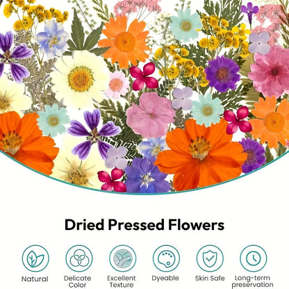 Dried Pressed Flowers Kit 500pcs – Natural Real Flower Petals & Leaves for Resin Art, Nail Art, Jewelry Making, Scrapbooking