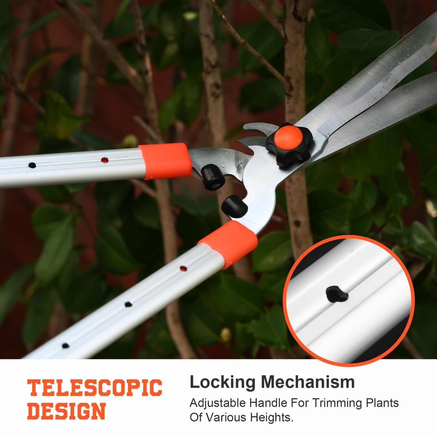 Long Reach Pruning Shears 18-38 Inch Extendable – Non-Stick Steel Blades Cut 2" Branches, Shock-Absorbing Handle