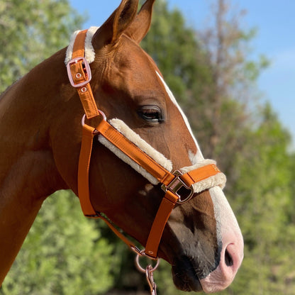 Horse Halter with Detachable Faux Fur Band & Glossy Buckle – Adjustable Head Collar for Horses, Available in 15 Colors & 3 Sizes FULL COB