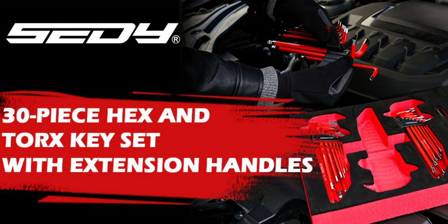Hex Key & Torx Wrench Set 30-Piece – Long Arm Ball End Allen Wrenches with T-Handle & Extension Bar | SAE