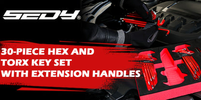 Hex Key & Torx Wrench Set 30-Piece – Long Arm Ball End Allen Wrenches with T-Handle & Extension Bar | SAE