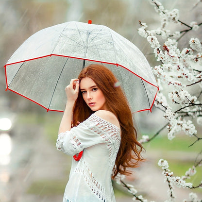 Clear Dome Bubble Umbrella 2 Pack Windproof Rainproof Auto Open 47 Inch Wide Canopy 8-Rib PVC Transparent Umbrella for Weddings Proms