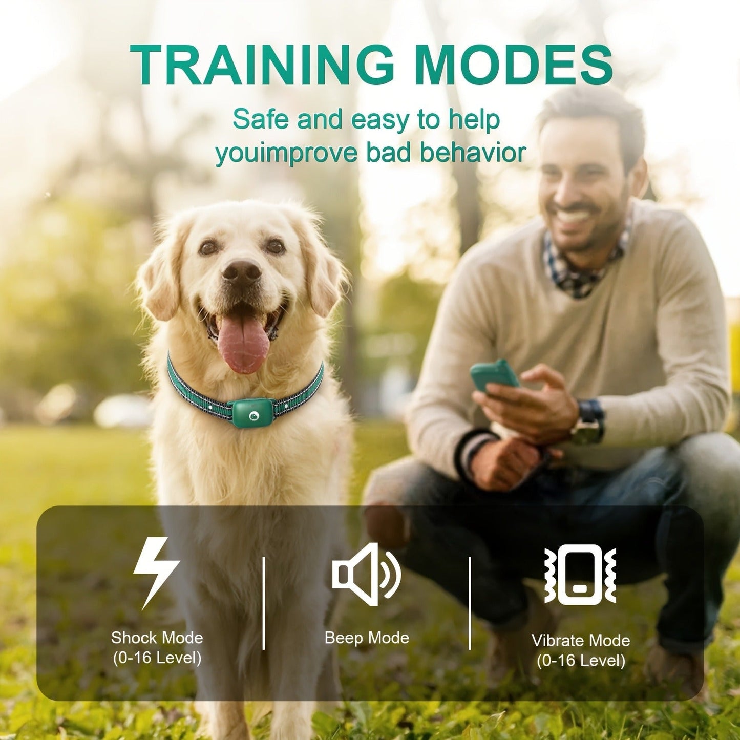 Dog Training Collar Green Remote Set with 730-Meter Range, Three Cue Modes and Two- or Three-Receiver Options