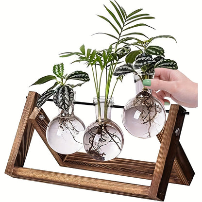 Propagation Station 3 Bulb Glass Vase with Wooden Stand – Hydroponic Plant Terrarium for Home Office Desk Decor