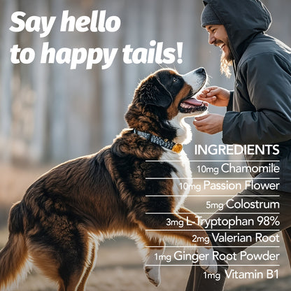 Calming Chews for Dogs & Cats 90ct – Natural Herbal Anxiety & Stress Relief Supplement for Separation, Thunder, Fireworks & Barking
