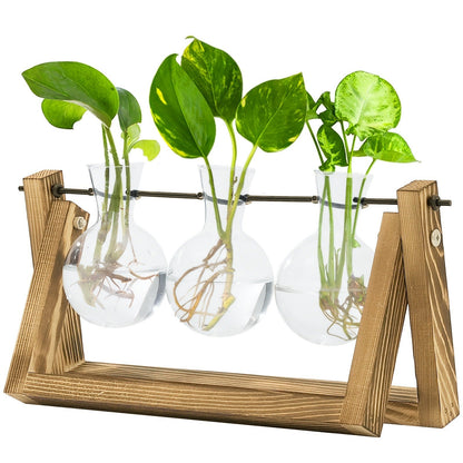 Glass Terrarium Heart Shaped Hydroponic Vase with Wooden Stand – Elegant Plant Propagation Station for Home Decor