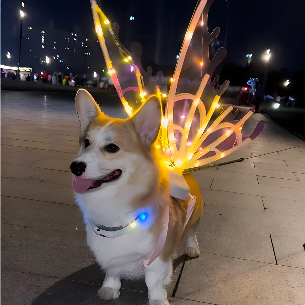 LED Light-Up Butterfly Angel Wings Costume for Dogs, Girls & Women – Multi-Color Illuminated Wings for Halloween, Christmas, Carnival
